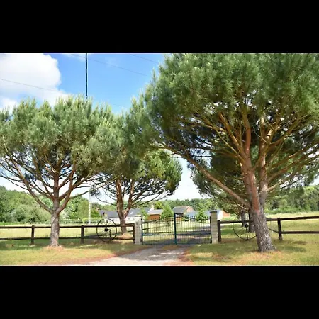 Πανσιόν Domaine De La Nouilliere