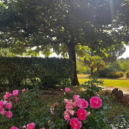 Domaine De La Nouilliere