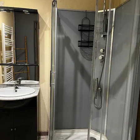 Maison d'hôtes Domaine De La Nouilliere La Breille-les-Pins