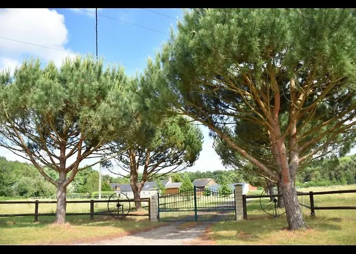 Maison d'hôtes Domaine De La Nouilliere