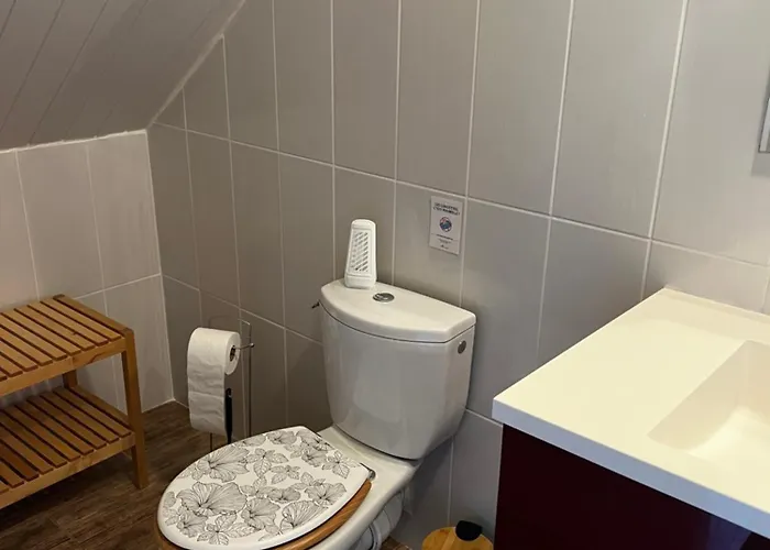 Domaine De La Nouilliere La Breille-les-Pins