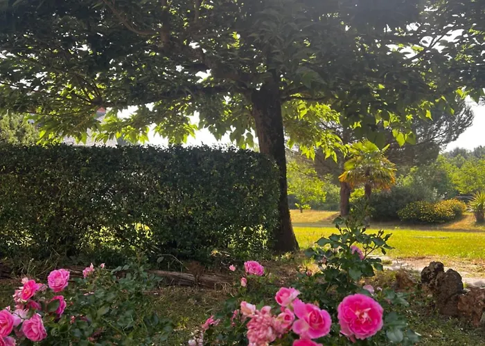 Domaine De La Nouilliere