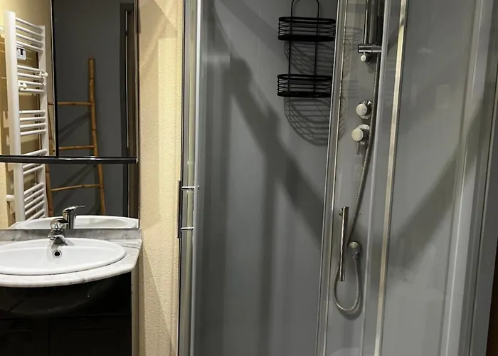 Maison d'hôtes Domaine De La Nouilliere La Breille-les-Pins